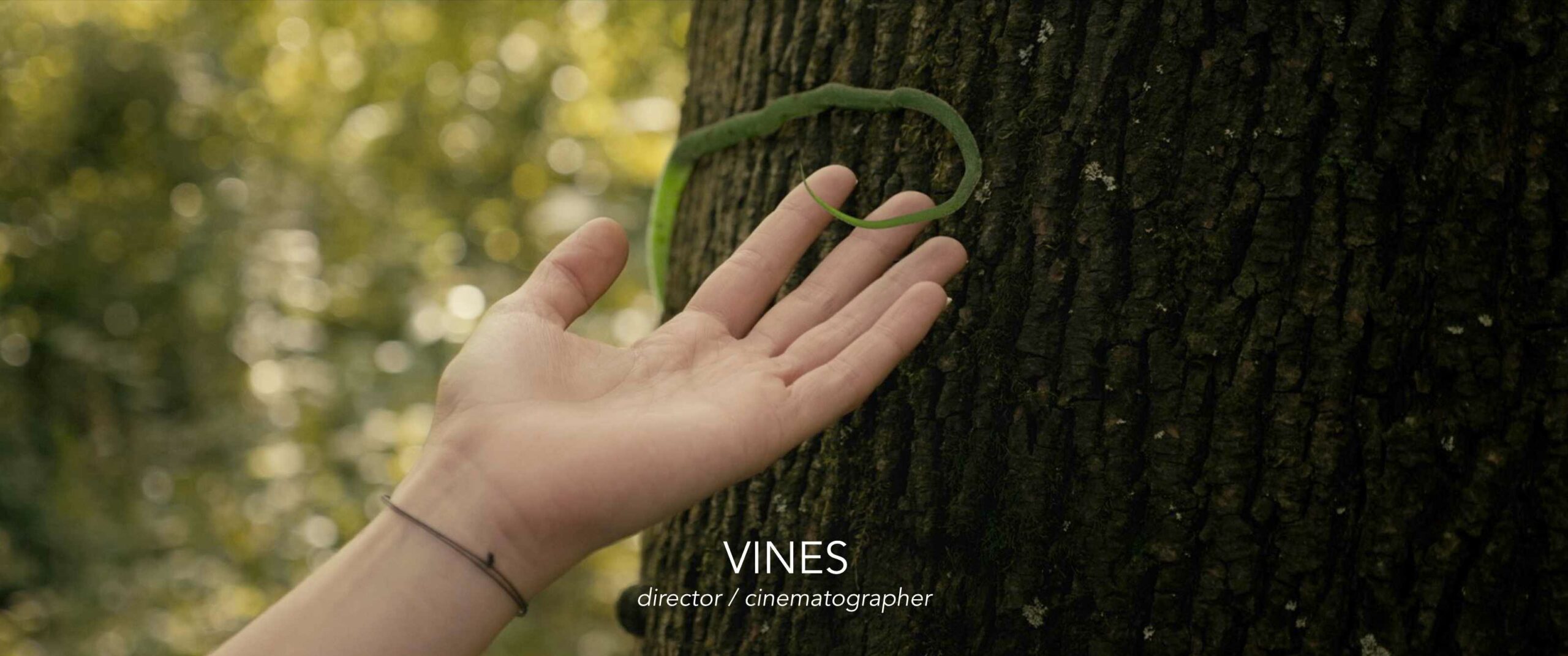 Vines - Regie / Directed by Sören Schulz